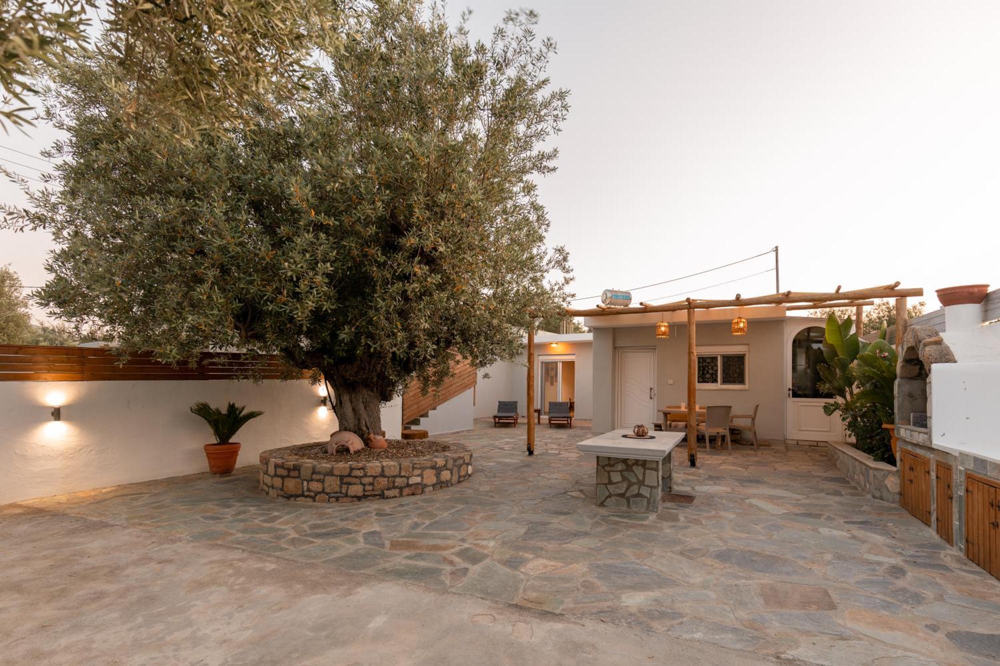 Apartment Alamia Archangelos (Rhodes)